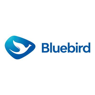 Bluebird Java IIS Windows Server